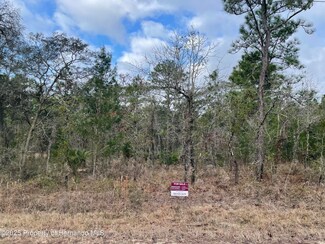 15393 Myland Rd, Brooksville, FL 34614