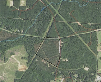 00 Fox Hunting Rd, Waskom, TX 75692