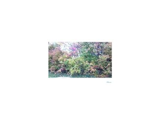 11676 Van Dyke Ave, Curtice, OH 43412