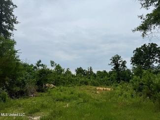 6844 Lot 2 Mississippi 43 N, Poplarville, MS 39470