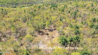 LOT 3 Patton Hill Rd, Greenwood Township, PA 17846
