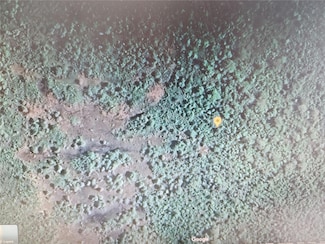 0 Holopaw Groves Rd Unit MFRS5129806, Saint Cloud, FL 34771