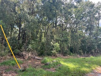 217 Hofstra St, Inverness Highlands South, FL 34452