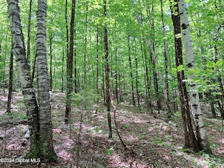L1.1 Route 28, Johnsburg, NY 12853