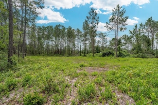 00 Willacoochee Hwy, Willacoochee, GA 31750