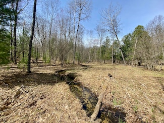 0 9 75 Acres Snyder Rd, Wellston, MI 49689