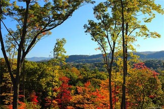12 Curtain Bluff Unit The Ridge Lot 12, Hendersonville, NC 28791