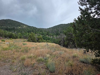 TBD Joy Rd, San Luis, CO 81133