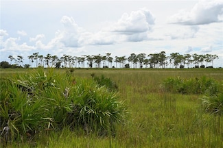 0 County Line Rd E Unit MFROM713132, Fort Meade, FL 33841