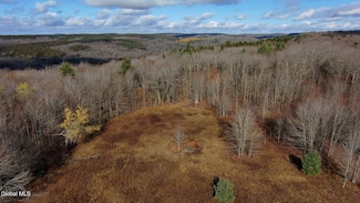 L14 Hawthorn Path, Jefferson, NY 12093