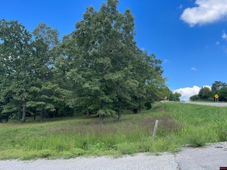Lot 12 Hwy 178, Flippin, AR 72634