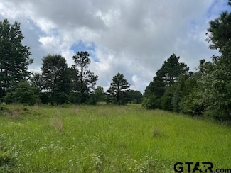 TBD Cr 1792, Yantis, TX 75497