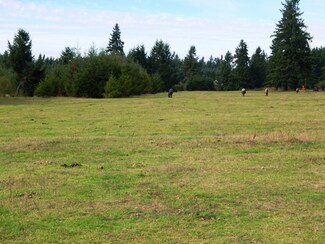 10634 133rd Ave SE, Rainier, WA 98576