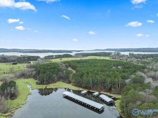 320 John Cabaniss Rd, Langston, AL 35755