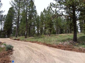 Lot 8 W Pine Dr, New Meadows, ID 83654