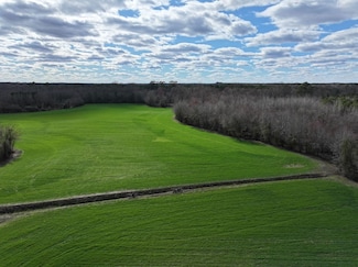 155 Sheppard Ferry Rd, Stantonsburg, NC 27883