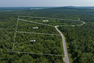 0 Raven's Way Unit Lot 52 1562344, Steuben, ME 04680