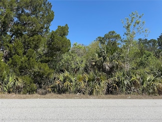 9285 Long Lake Ave, Weeki Wachee, FL 34613