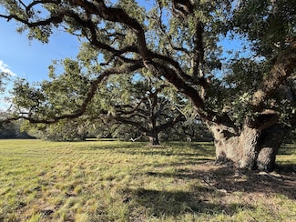 31619 Texas 36, West Columbia, TX 77486