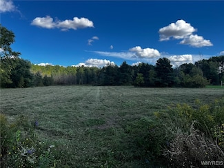 VL Creek Rd, Lewiston, NY 14092