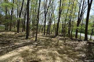 10146 Island Lake Rd, Dexter, MI 48130