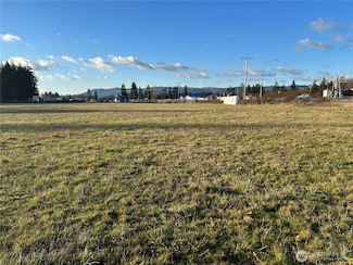 0 Roseburg St SW Unit NWM2371565, Rochester, WA 98579