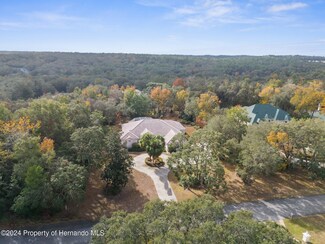 530 W Britain St, Hernando, FL 34442