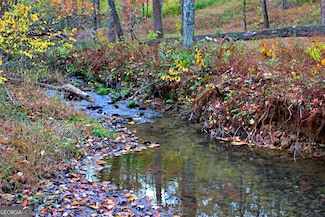 LOT 157 N Laceola Rd Unit 157, Cleveland, GA 30528