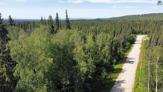 L15B1 NHN Edinburgh Ct, Fairbanks, AK 99712