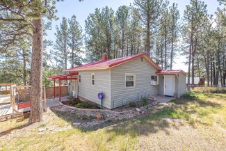 512 Leisenger Ln, Custer, SD 57730