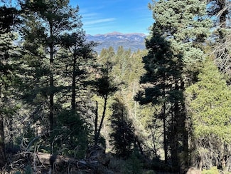 lot 261 Vista Del Valle, Angel Fire, NM 87710