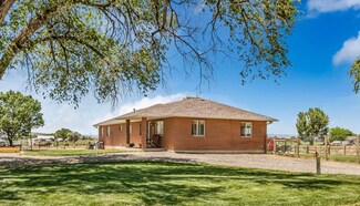 1199 20 Rd, Fruita, CO 81521