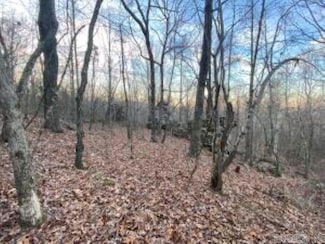 0 Whiskey Creek Ln Unit 25016298, Batesville, AR 72501