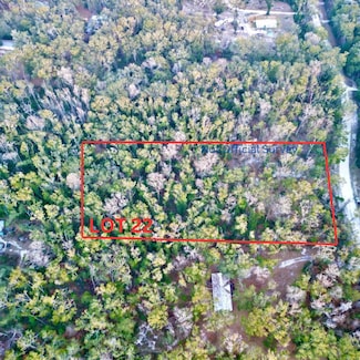 lot 22 NE 173rd Ave, Old Town, FL 32680