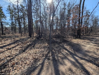 TBD Peony Ln, Breezy Point, MN 56472