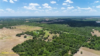 5380 County Road 132 (81 02 Acres), Somerville, TX 77879