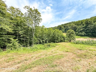 117 Cherry Oak Dr, Oak Ridge, TN 37830