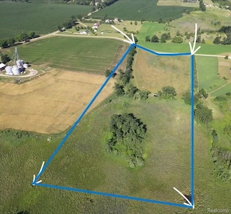 16650 Ahrens Ln, Manchester, MI 48158