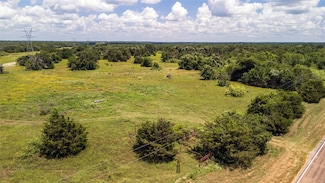 Tract 10 Farm To Market Road 1366, Wortham, TX 76693