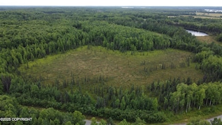 L2 B3 E Mount Snowshoe Dr, Talkeetna, AK 99676