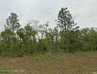 2477 W Swanson Dr, Pine Ridge, FL 34434