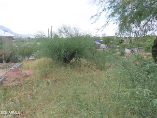 100 Blk, N Neary Ave Unit 8, Superior, AZ 85173