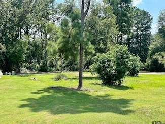 5721 Fern Cove Terrace, Tyler, TX 75703