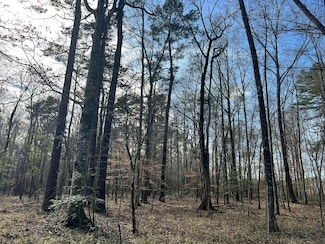 0 Pettey Old Hillsboro Rd, Forest, MS 39074