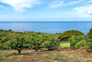 81-488 Palena Place, Captain Cook, HI 96750
