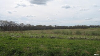 7552 Mulkeytown Rd, Mulkeytown, IL 62865