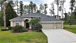 2933 Big Cypress Way, Wesley Chapel, FL 33544