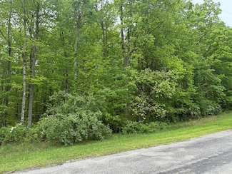0 E Cove Rd Unit 236470, Monterey, TN 38574