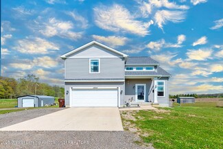 12045 Wood Rd, Dewitt, MI 48820