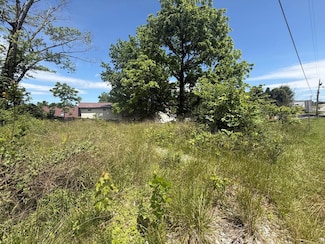 Lot 20 E 2nd St, Blue Ridge, GA 30513